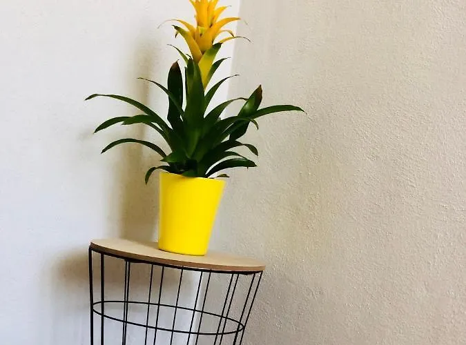 Stipe Affittacamere 3*